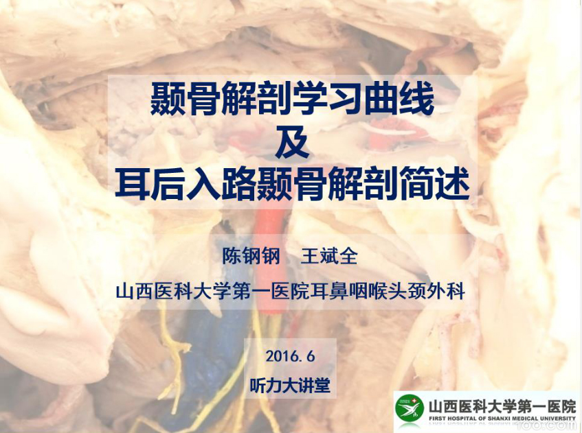 《颞骨解剖学习曲线及耳后入路解剖简述》