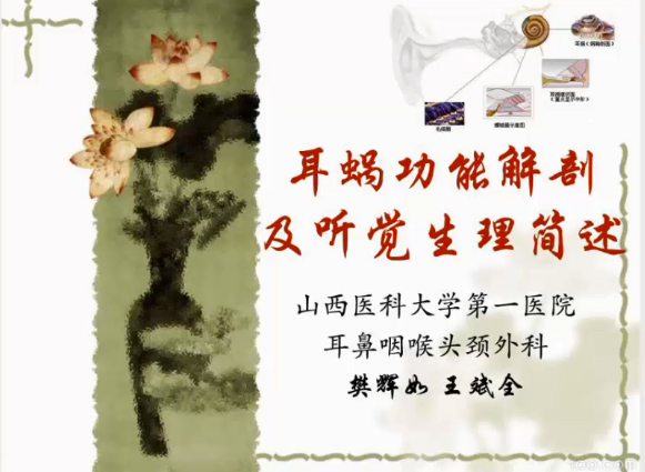 耳蜗功能解剖及听觉生理简述